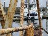 sailboat in fishing harbor